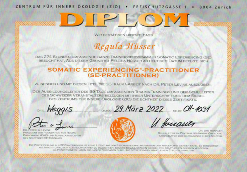 diplom regula huesser